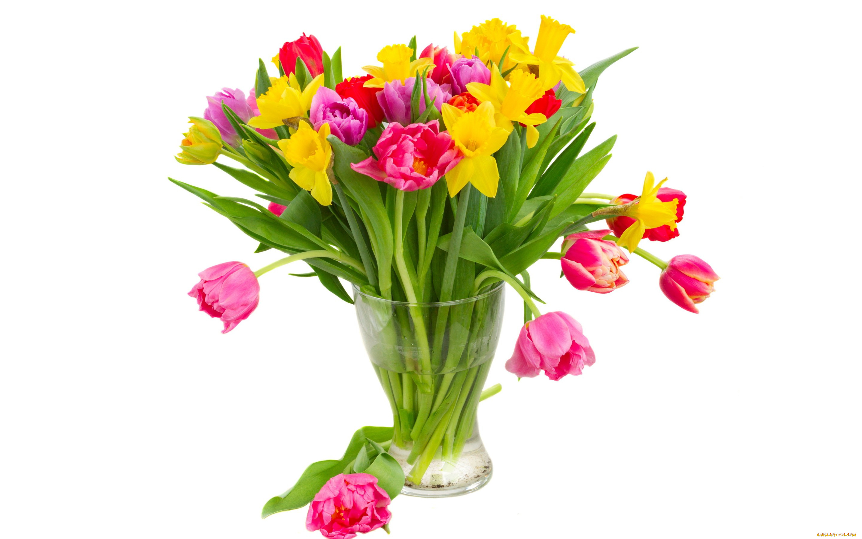 , ,  , bouquet, colorful, flowers, tulips, 